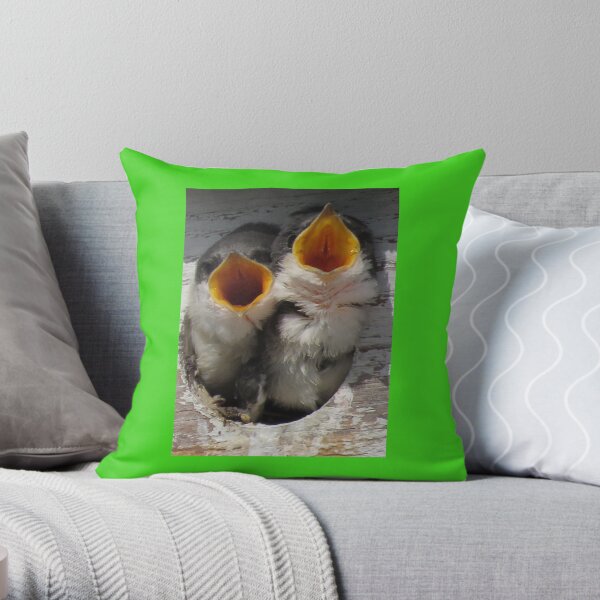 Say ahhhhh Throw Pillow