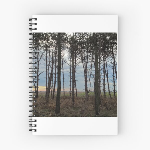 Item preview, Line of Fall Trees designed and sold by allykays.