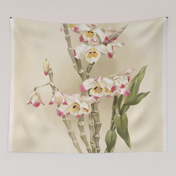 Item preview, Reichenbachia: Orchids Illustrated and Described designed and sold by EsotericBotanic.