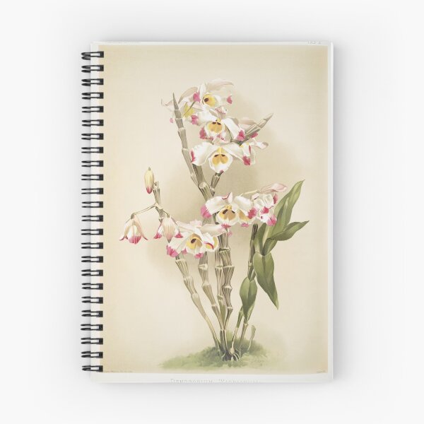 Item preview, Reichenbachia: Orchids Illustrated and Described designed and sold by EsotericBotanic.