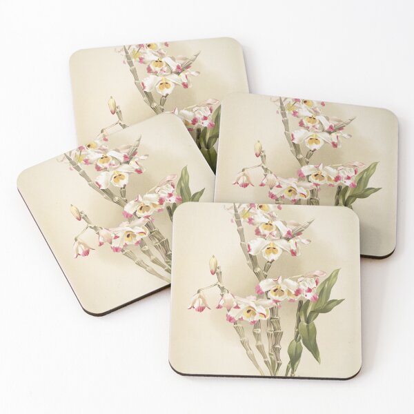 Item preview, Reichenbachia: Orchids Illustrated and Described designed and sold by EsotericBotanic.
