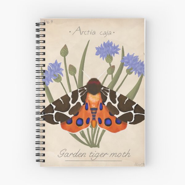 Item preview, Garden Tiger Moth and Cornflowers designed and sold by MeganSteer.