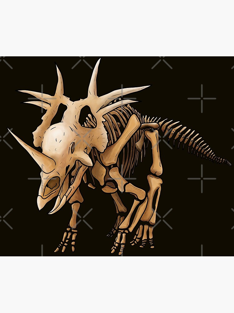 styracosaurus skeleton