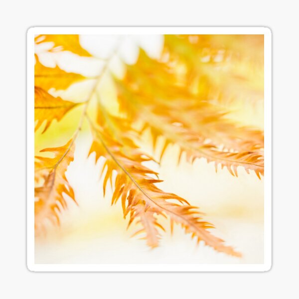 Item preview, Fern Fantasy designed and sold by Marilyn Cornwell.