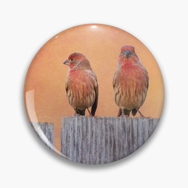 Item preview, House Finches designed and sold by CarolM.