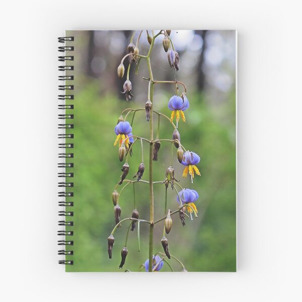 Item preview, Dianella designed and sold by Keith Weeks.
