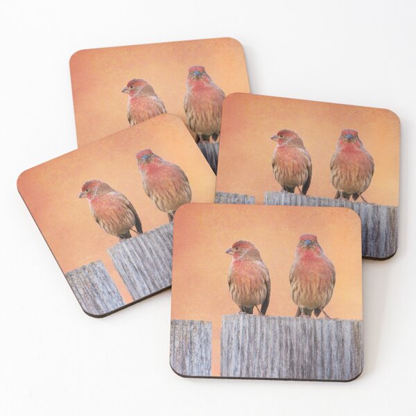 Item preview, House Finches designed and sold by CarolM.