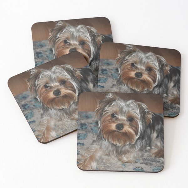 Item preview, Yorkshire Terrier Yorkie Puppy designed and sold by adriana-holmes.