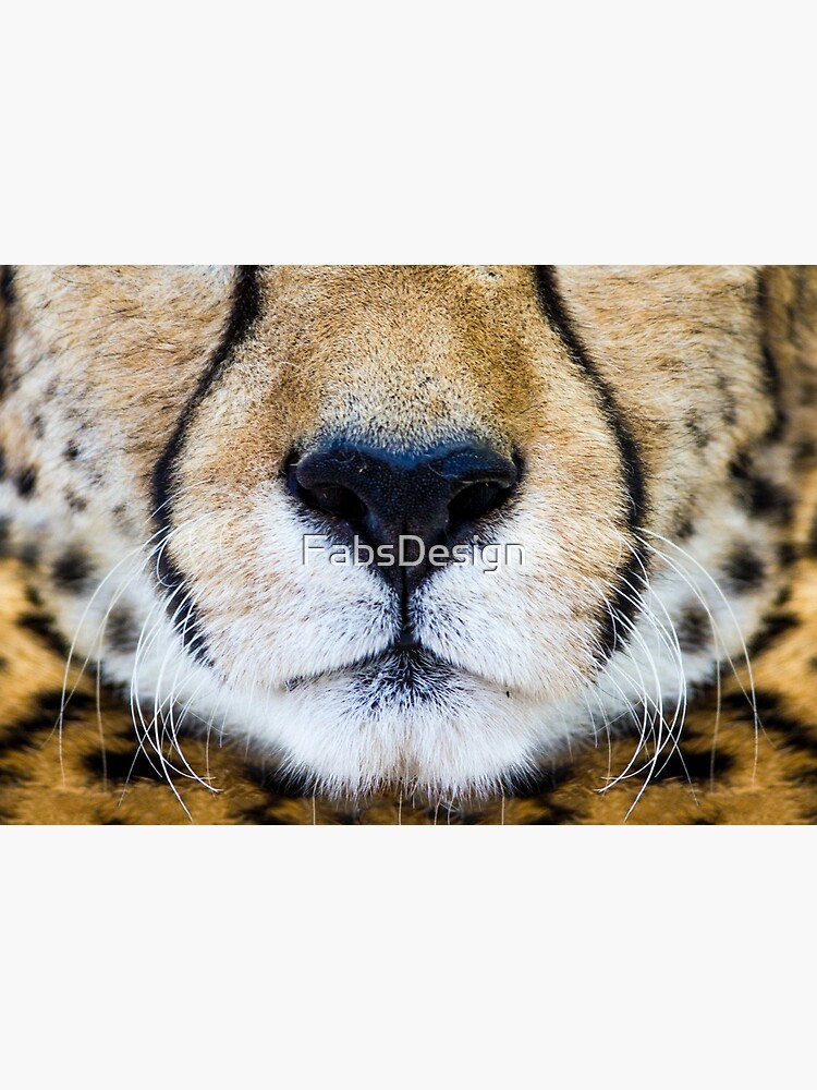 Fast like a Cheetah by FabsDesign