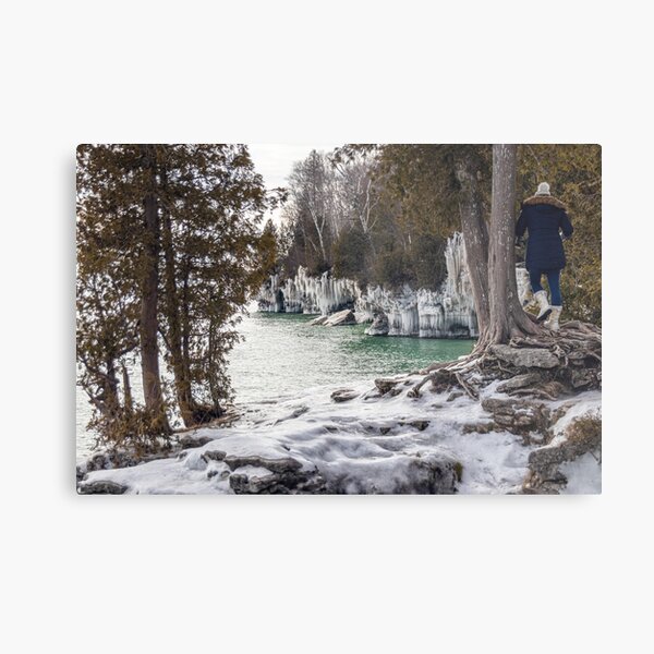 Winter Trails Metal Print