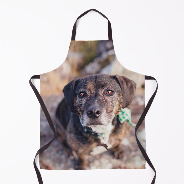 Item preview, Cute Brindle Dog designed and sold by PurpleBluesPets.