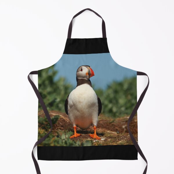 Item preview, Puffin designed and sold by Jon Lees.