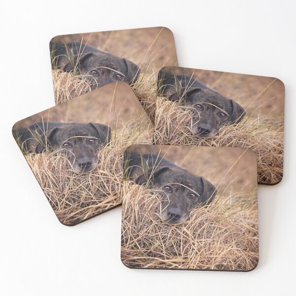 Item preview, Beautiful Dog designed and sold by PurpleBluesPets.