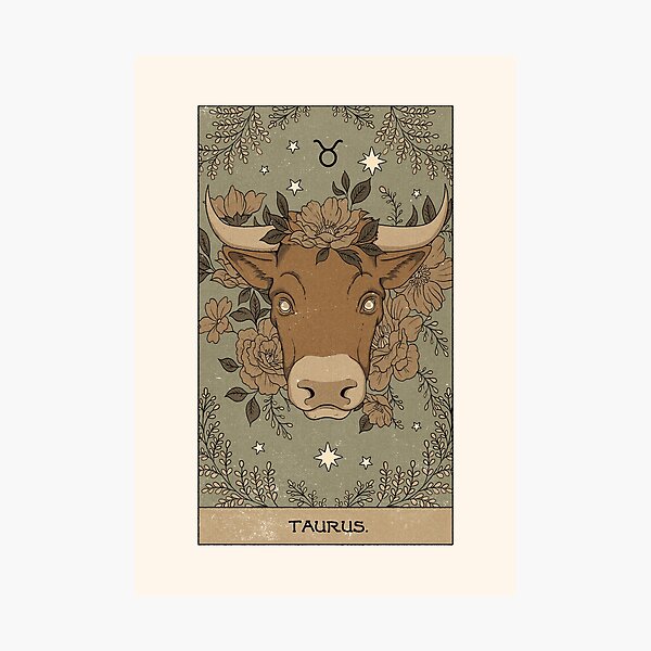 Stier Fotodruck
