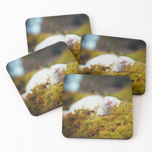 Item preview, White Ferret designed and sold by PurpleBluesPets.