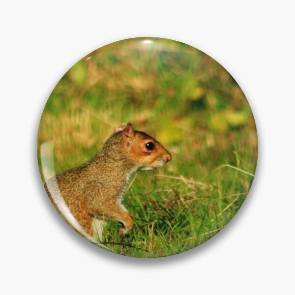 Item preview, As free as a. Squirrel??? designed and sold by Fazzle14711.