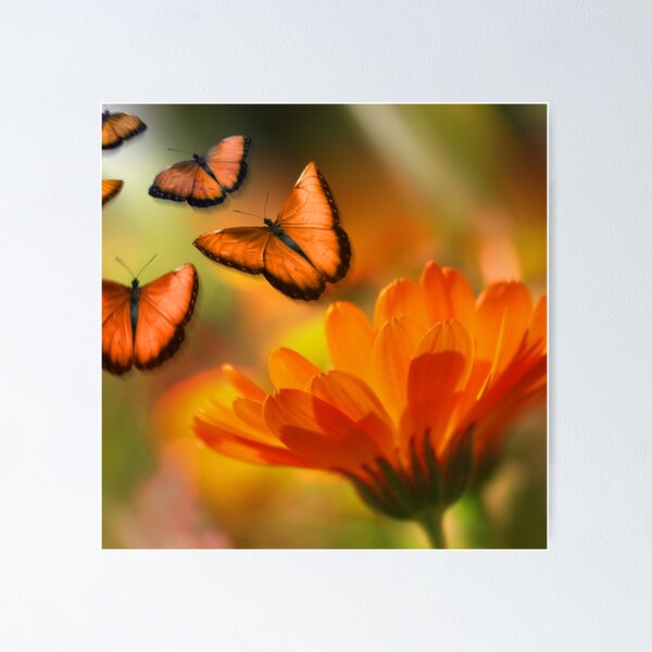 Item preview, Flowers and Monarch Butterflies designed and sold by TorieWear.