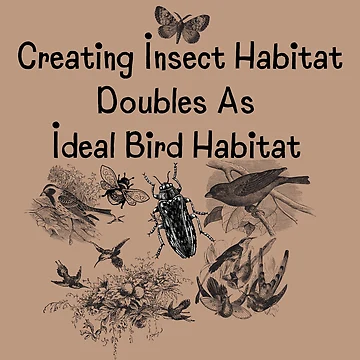 Artwork thumbnail, Creating Insect Life by EarthArtDesigns