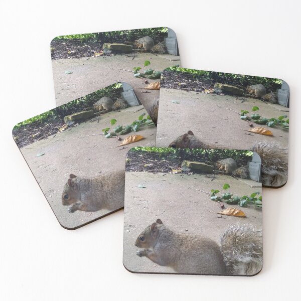 Item preview, Two Squirrels designed and sold by NathanMoore92.