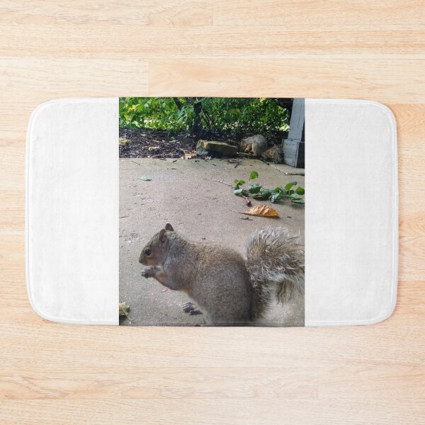 Item preview, Two Squirrels designed and sold by NathanMoore92.