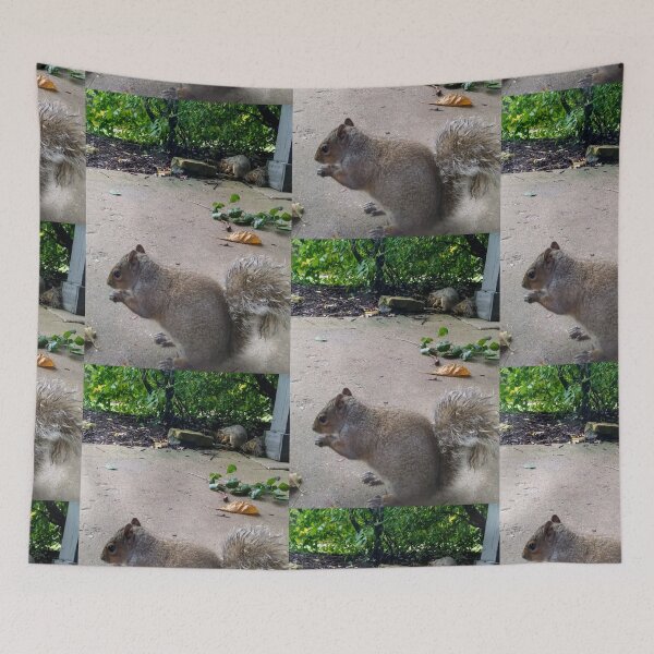 Item preview, Two Squirrels designed and sold by NathanMoore92.