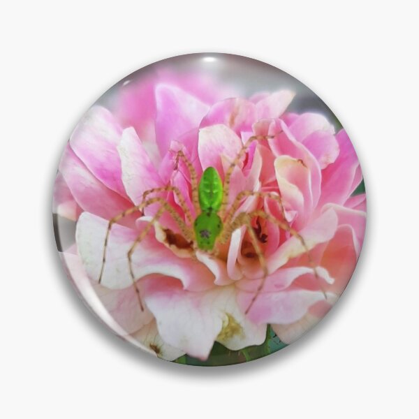 Item preview, Garden Spider Joy designed and sold by Jaroffaith.