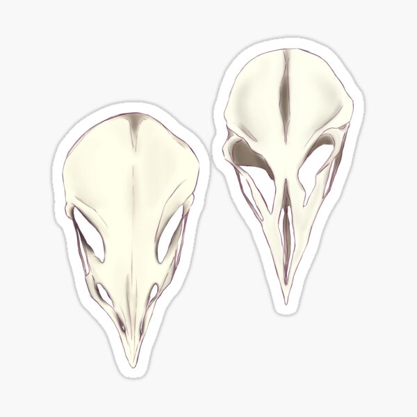 Bird Skull | Emperor Penguins Sticker