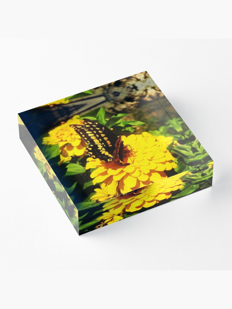 Alternate view of Yellow butterfly by Yannis Lobaina Acrylic Block