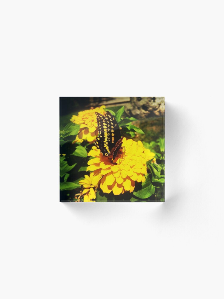 Alternate view of Yellow butterfly by Yannis Lobaina Acrylic Block