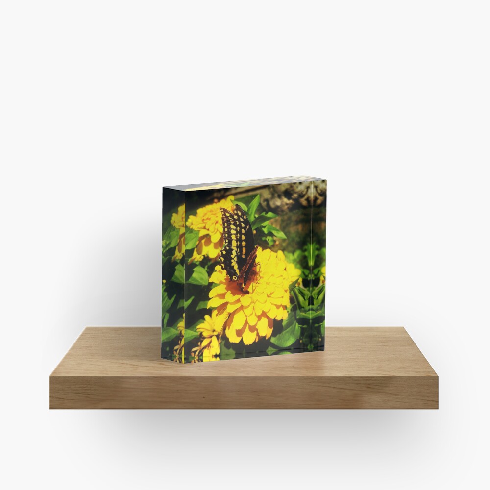Yellow butterfly by Yannis Lobaina Acrylic Block