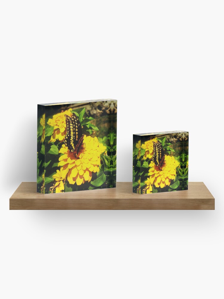 Alternate view of Yellow butterfly by Yannis Lobaina Acrylic Block