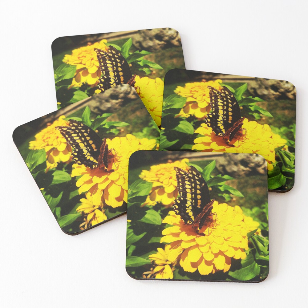 Yellow butterfly by Yannis Lobaina Coasters (Set of 4)