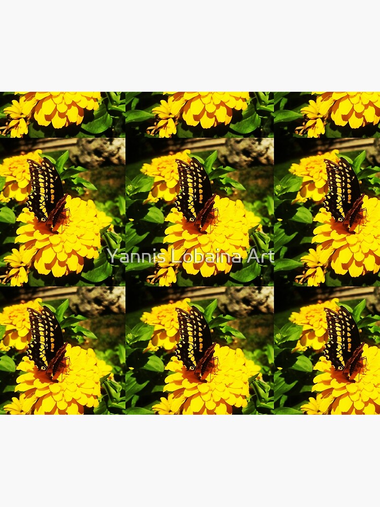 Yellow butterfly by Yannis Lobaina by lobaina1979