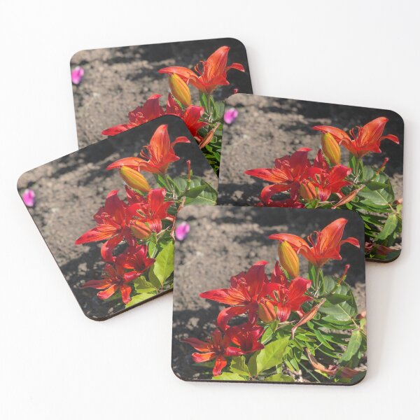 Item preview, C designed and sold by shahramroj.