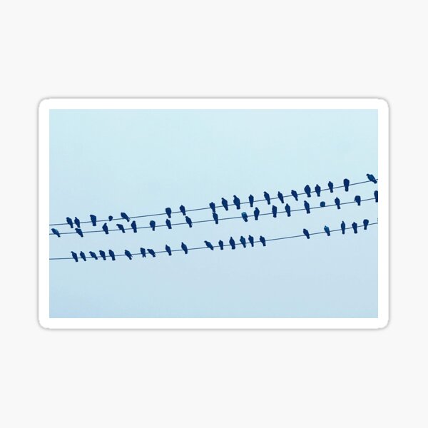 Birds of the Same Feather Sticker