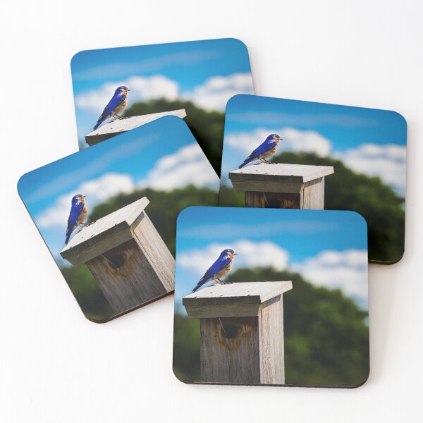 Item preview, Bluebird On Nest Box designed and sold by Robert Alsop.