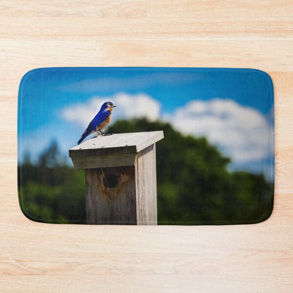 Item preview, Bluebird On Nest Box designed and sold by Robert Alsop.