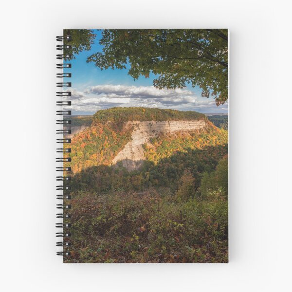 Item preview, Genesee River Bend, New York designed and sold by Under The Radar Van.