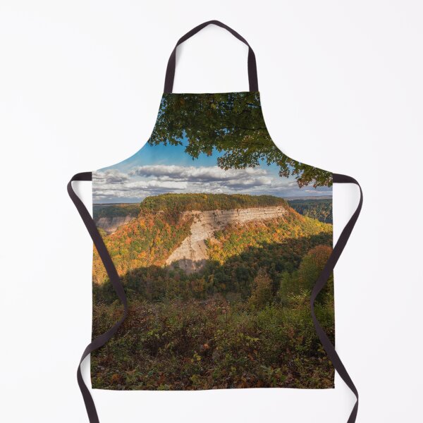 Item preview, Genesee River Bend, New York designed and sold by Under The Radar Van.