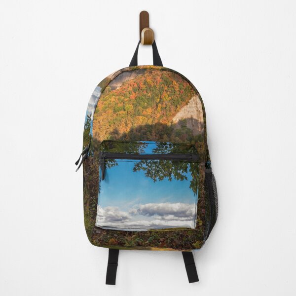 Item preview, Genesee River Bend, New York designed and sold by Under The Radar Van.