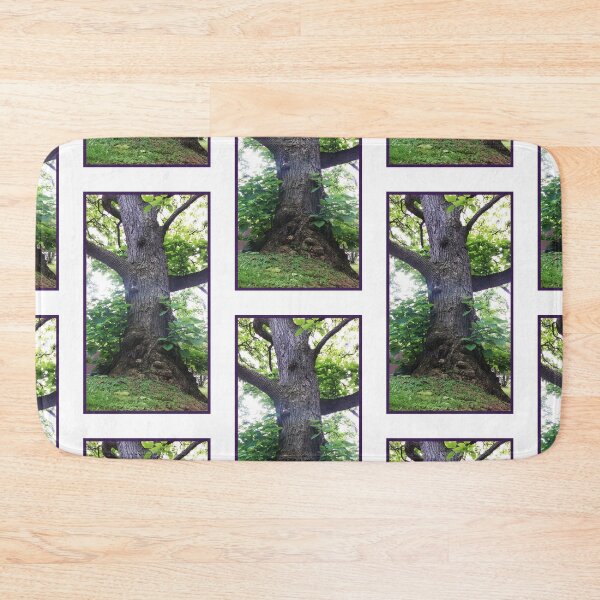 Item preview, Binding Clarity, Beauty of Nature, Tree Photography by Courtney Hatcher designed and sold by cghatcherart.