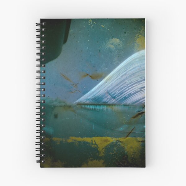 Item preview, 2015 captured in one single exposure designed and sold by willgudgeon.