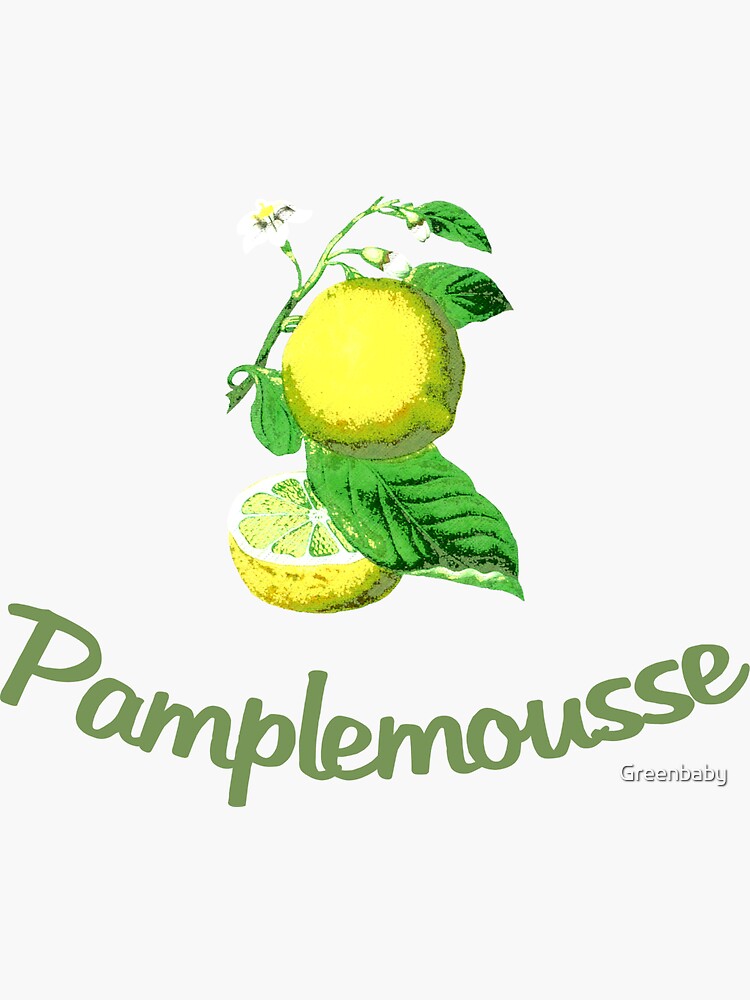 "Pamplemousse French for Grapefruit" Sticker for Sale by Greenbaby