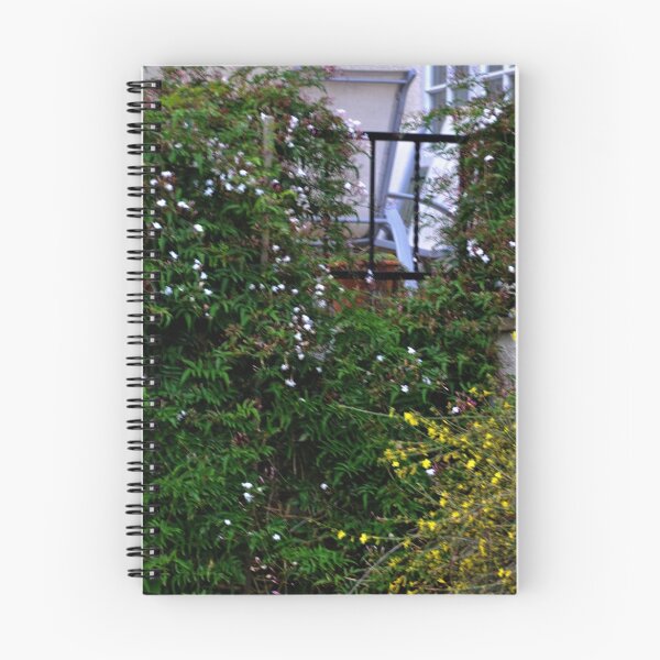 Item preview, A Pretty Corner in our neighbours garden designed and sold by lynn carter.