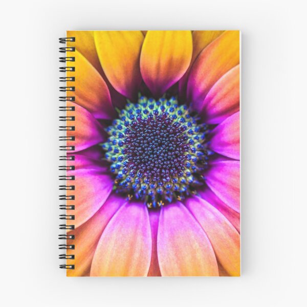 Item preview, osteospermum designed and sold by alan shapiro.