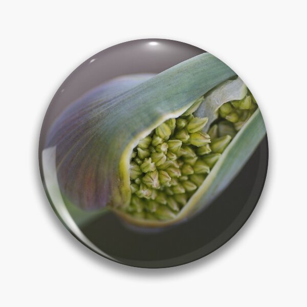 Item preview, The Green Garlic Bud designed and sold by Joy Watson - Natural Light Photography .