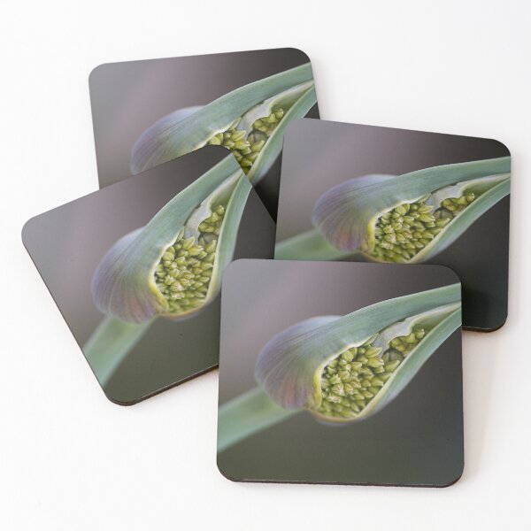 Item preview, The Green Garlic Bud designed and sold by Joy Watson - Natural Light Photography .