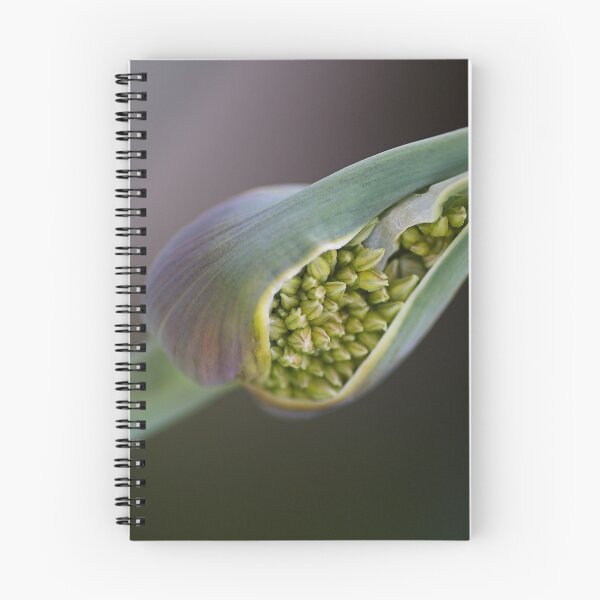 Item preview, The Green Garlic Bud designed and sold by Joy Watson - Natural Light Photography .
