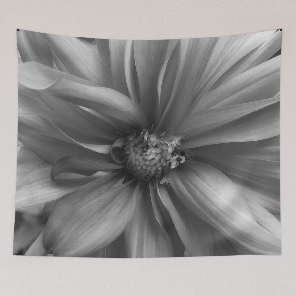 Item preview, Blushing Beauty in Black and White designed and sold by shutterbug2010.