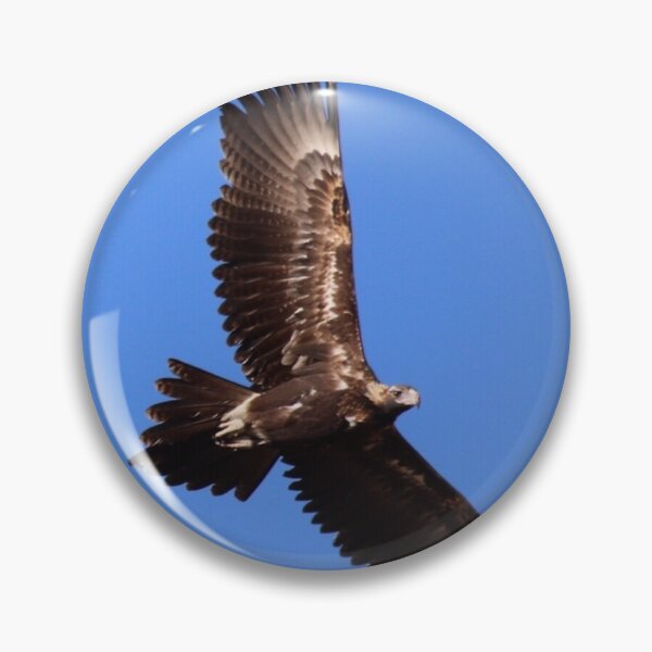 Item preview, Wedge-tailed Eagle designed and sold by Wanderingeagles.